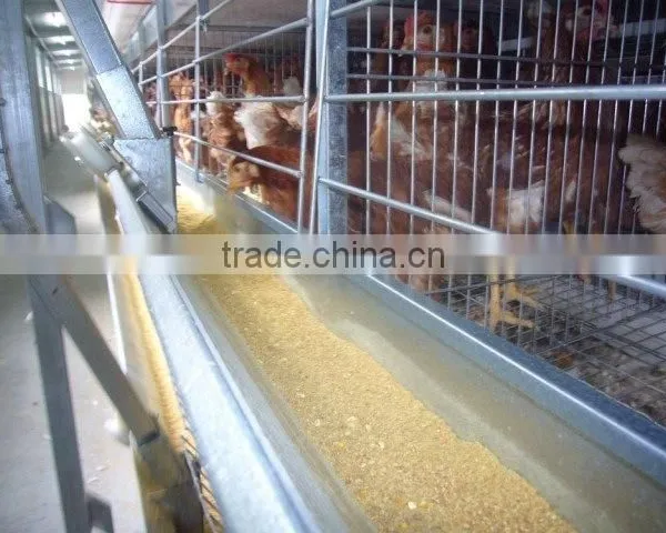 Poultry Farming Equipment Meat Broiler Cage for Steel Chicken House photo-3