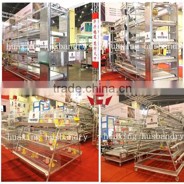 Battery Galvanized Broiler Chicken Cage for Chicken Farm photo-2