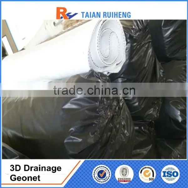 Geotextile and Geonet 3D Composite Drainage Geonet photo-3