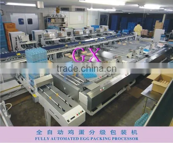 Full-Auto Egg Packing Processor