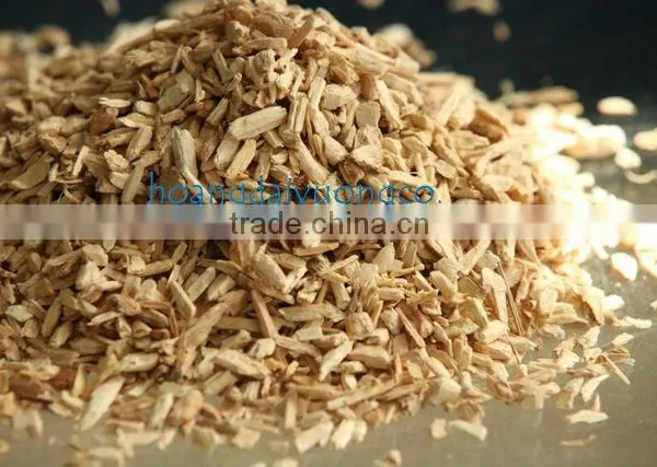 mushroom cultivation