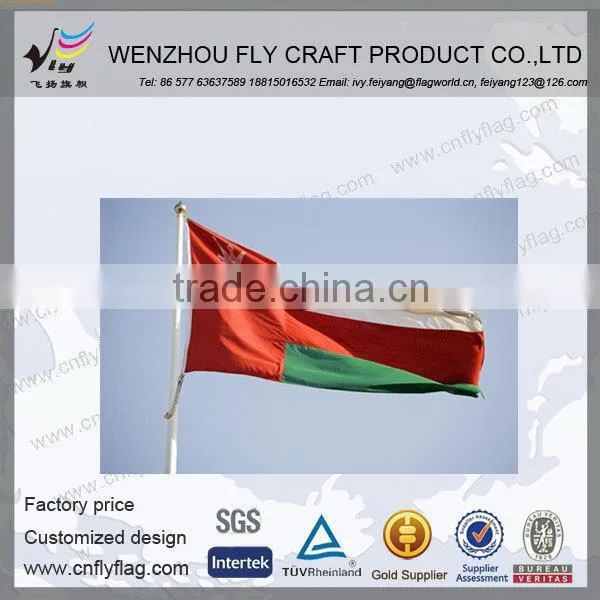 High Quality Latest Printing Philippines National Flag photo-2
