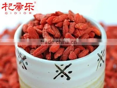 Hot Selling Goji Berry or Goji Berries