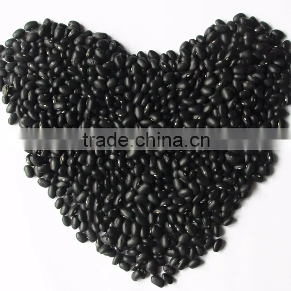 Dired China Bean for Sale in for Black Bean for Sale photo-4