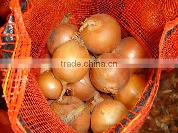 Fresh Yellow Onion photo-2