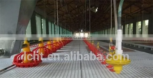 Chicken Plastic Floor photo-4