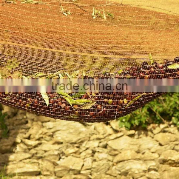 Hdpe Virgin Material Square Mesh Olive Harvest Net Olive Collecting Net photo-2