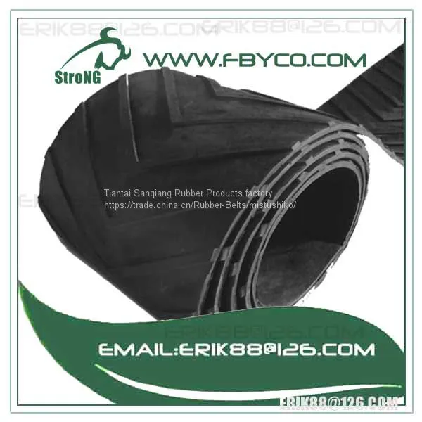 ee Conveyor Belt photo-3