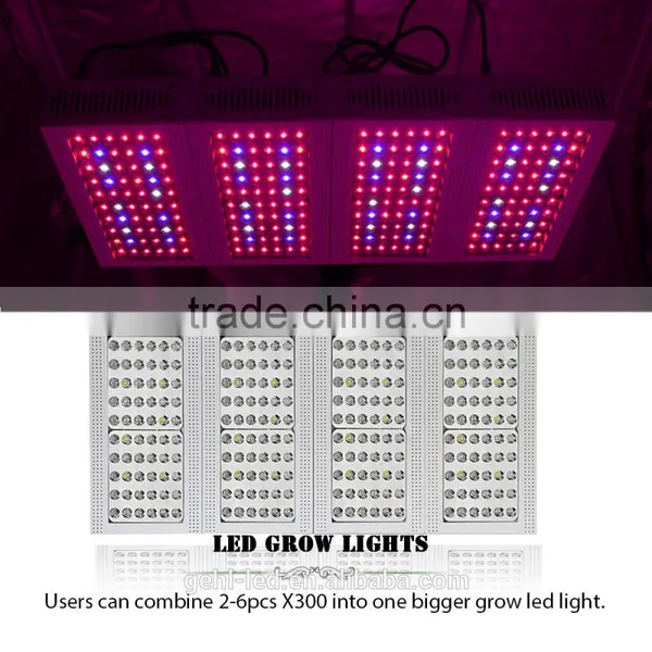 Low Price Aaa Quality High Power Cidly Grow Leds From Shenzhen Factory photo-4