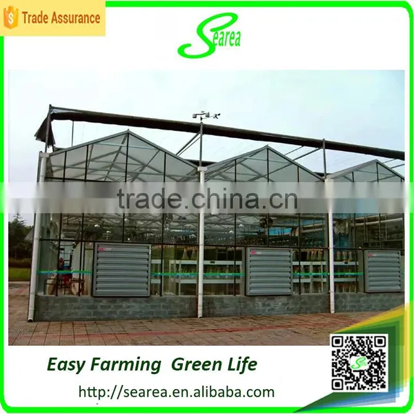 Modern Agricultural Equipments Glass Commercial Greenhouses photo-6