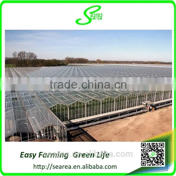 Venlo Glass Cover Metal Frame Greenhouse photo-4