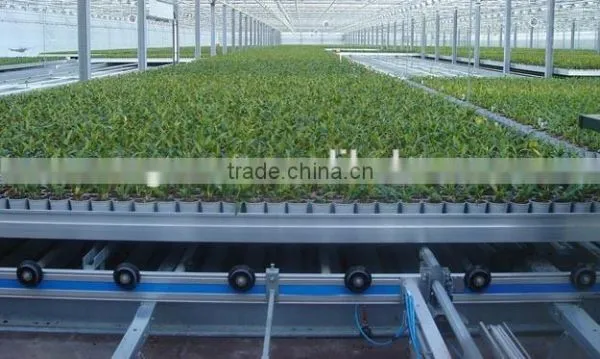 Nursery Greenhouse photo-6