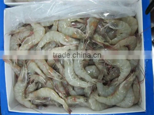 Vannamei Shrimps photo-4