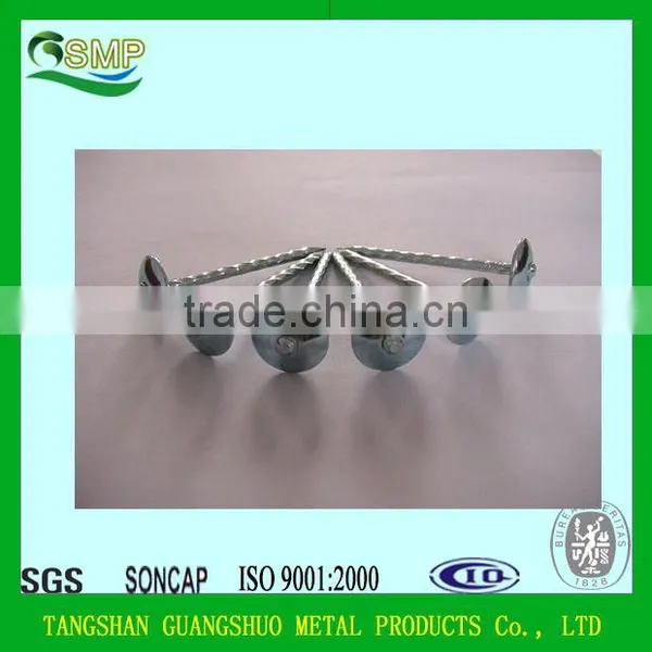Umbrella Head Twist/Screw/smooth Shank Roofing Nails With Washer photo-5