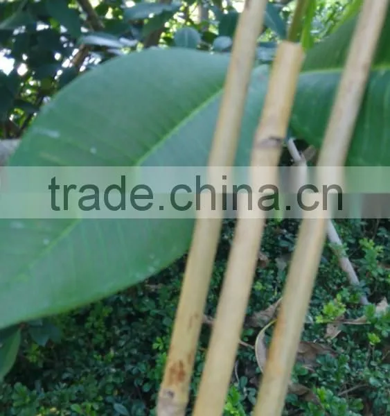 Small Package Bamboo Sticks 6pcs or 12pcs/plastic Bag for Wholesale in Supermarket photo-3