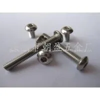 Stainless Steel Screw photo-3