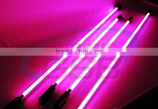 Cool Decoration Cold Cathode Neon Dc Lamp photo-2