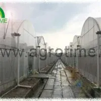 Double Film Plastic Greenhouse
