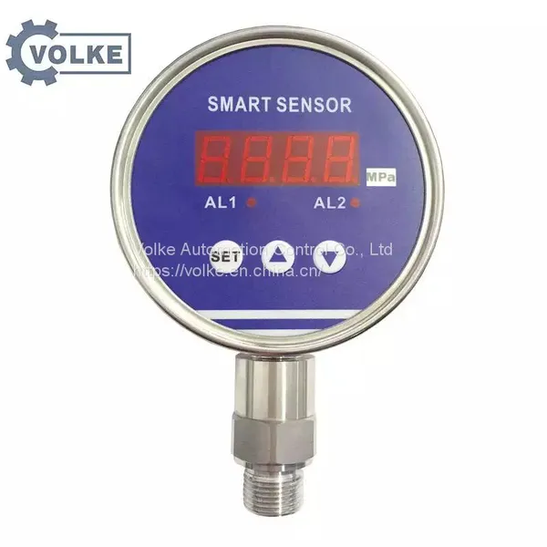 High Performance Cheap Silicon Rail Pressure Sensor