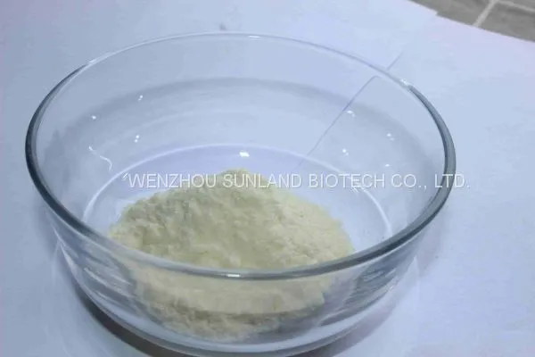 Glucose Oxidase