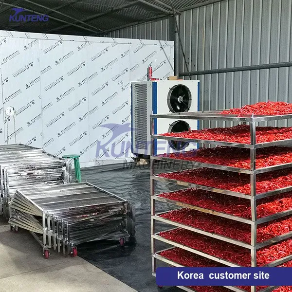 Hot Air Chili Dryer Potato Cassava Starch Ginger Powder Desiccated Coconut Flour Gel Dryer photo-5