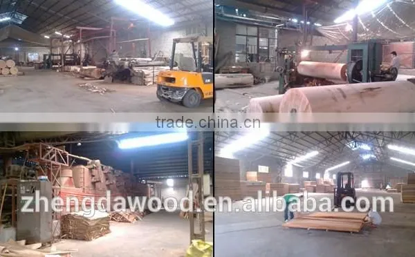 HOT SALE!!!!0.63USD Keuring Veneer photo-5