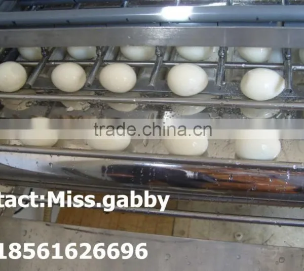 Quail Egg Shell Broken Machine photo-3