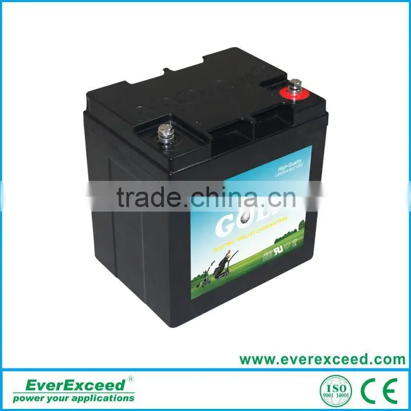 EverExceed High Quality Golf Cart Lithium Battery for Golf Cart photo-3