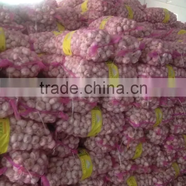 White Garlic Packed in 10kgs/ctn photo-6