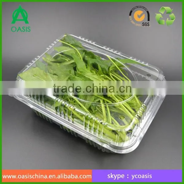 Plastic Clear Fruit Vegetable Packaging Box photo-4