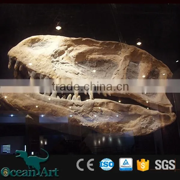 OAV3095 Life Size Dinosaur Fossil Head photo-3