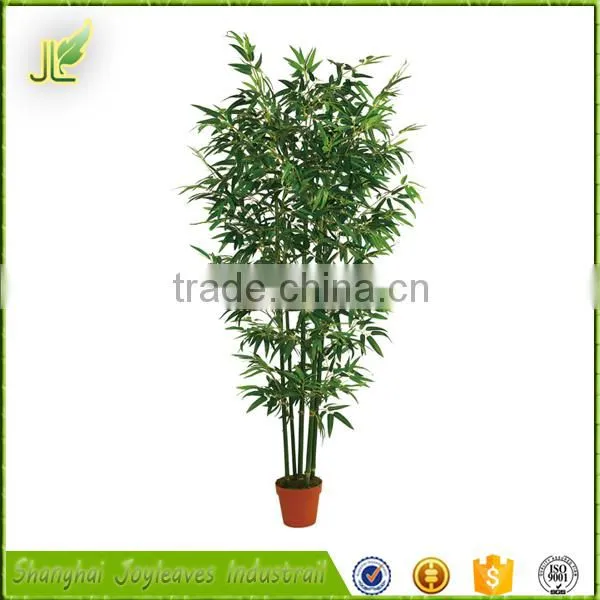 Combined Wholesale Factory Direct Low Price Bamboo Bonsai Tree photo-2