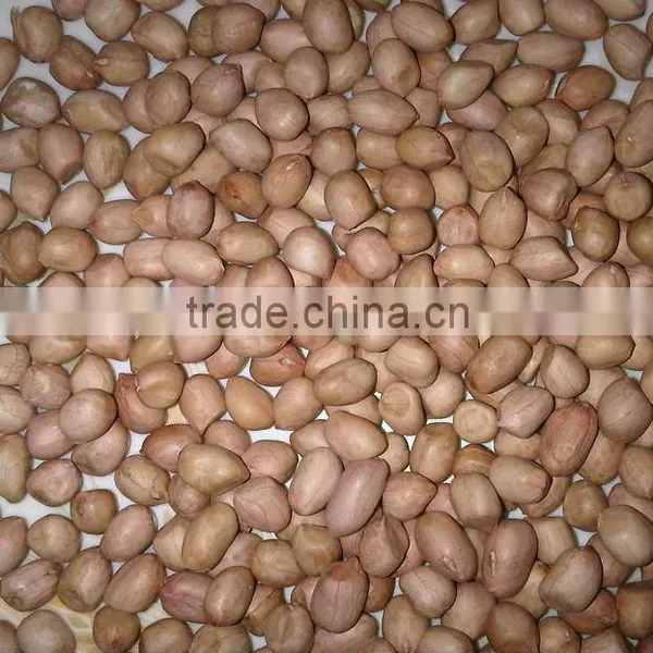 Peanut Kernel Round Type From China photo-2
