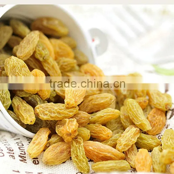 Hot Sell Dried Sultana Raisin Seedless Grape photo-5
