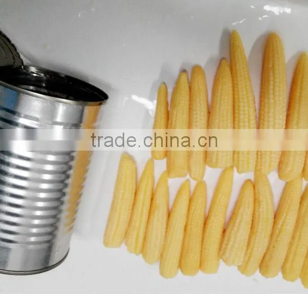 884# Can Size 340g Fresh Canned Sweet Corn photo-3