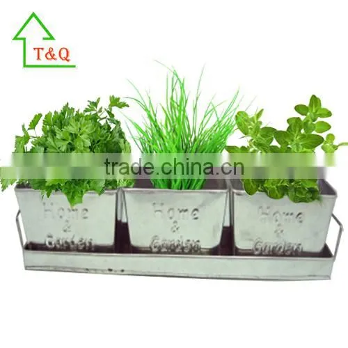 3 Set Tin Pot Tray Garden Porch Windowsill Metal Plant Pot With Seeds