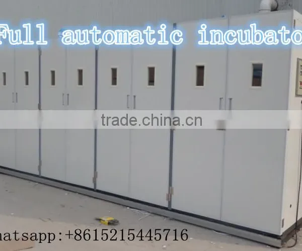 50000 Eggs Incubator Full Auto/50688 Chicken Egg Incubator/ZH-50688 Poultry Incubator photo-6