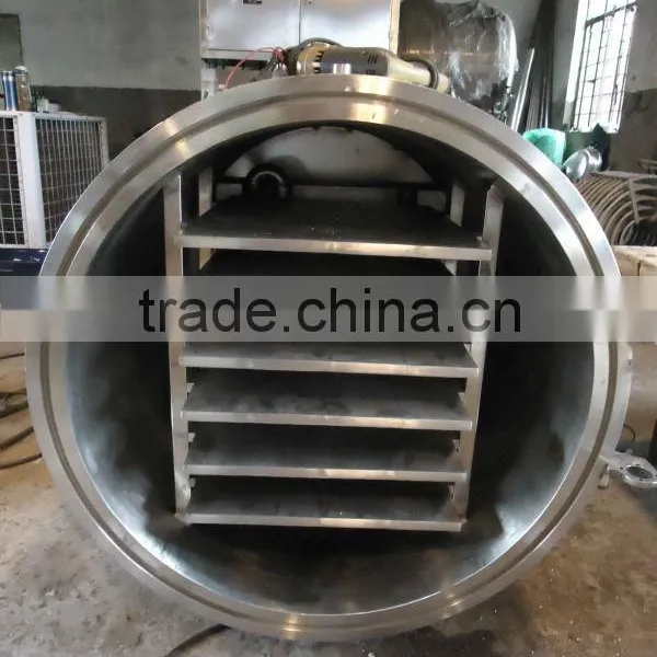 GZlS Series vacuum Freeze Dryer Used in Condiment  photo-3