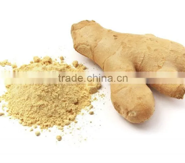 Professional Supplier Supply Dried Ginger Flakes Dehydrated Vegetables photo-4