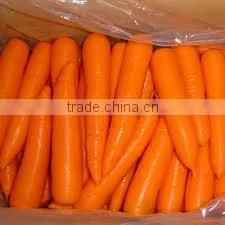 Fresh Carrot