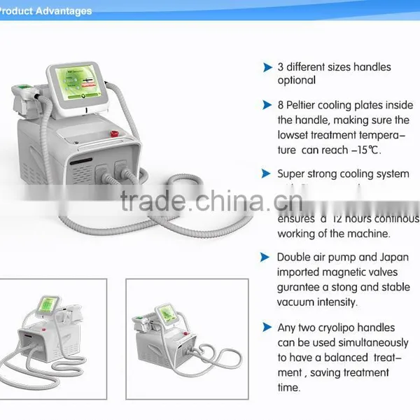 Fat Reduction OEM&ODM Supplier Big Rotating Screen 2 Handles Mini Portable Slimming Machine Cryolipolysis Machine Loss Weight photo-6