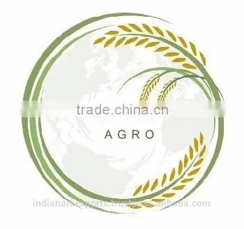 Indian Green Cardamom for Japan Market photo-2