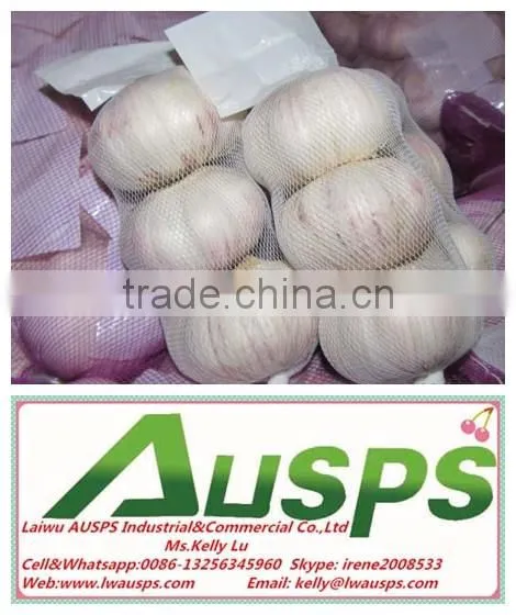 First Grade Fresh Pure White Garlic photo-4