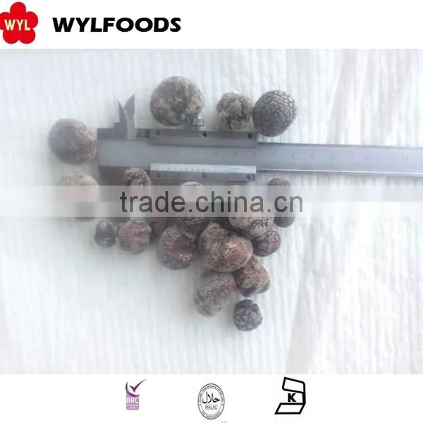 China Good Price Frozen Summer Truffle 2015 photo-4