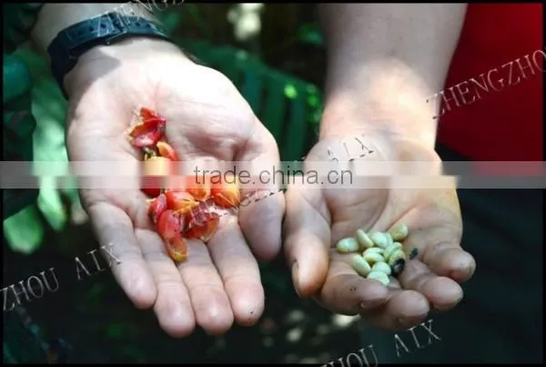 China Factory Supplying Coffee Bean Hulling Machine photo-6