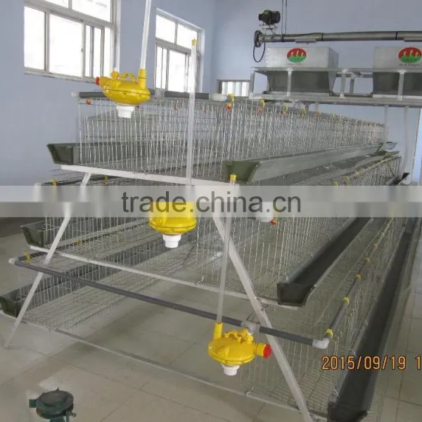 Chicken Layer Cage