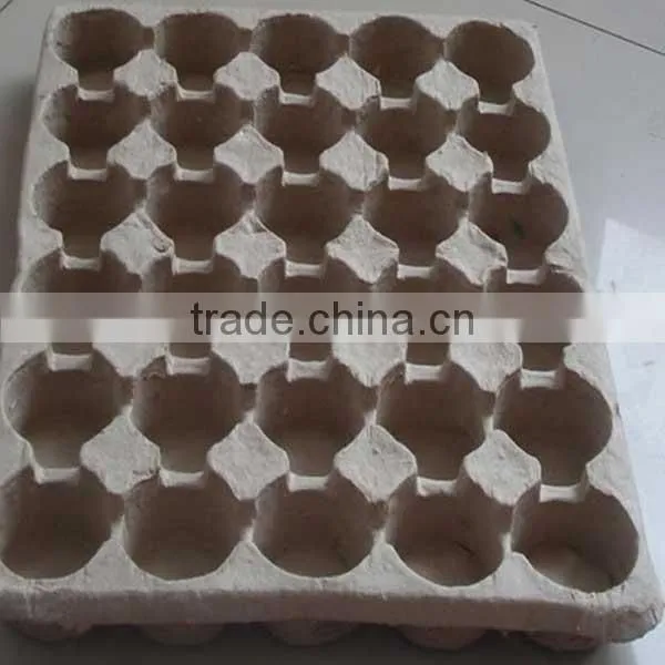 Recycle Paper Pulp Bottle Service Tray photo-3
