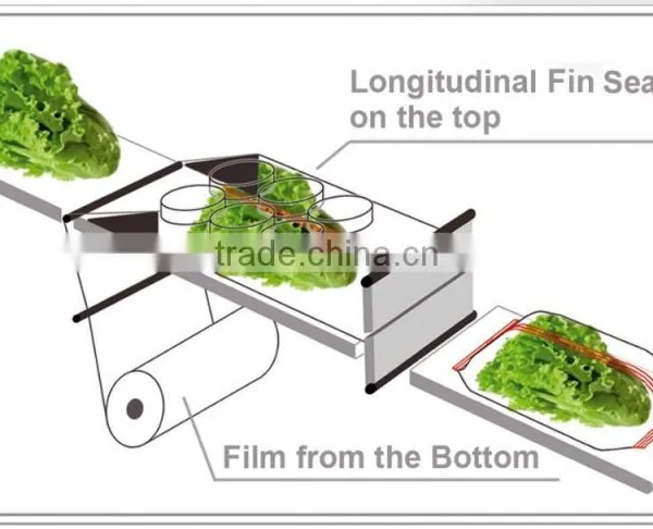 Aubergines Vegetable Packing Machine photo-5