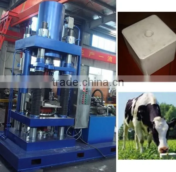 Mineral Salt Briquette Hydraulic Press Machine For Camel photo-6