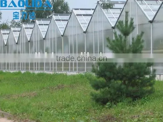 Chengdu BaoLiDa Low Price Multi-span PC Shed Greenhouse PC Sheet Greenhouse Vegetable Greenhouse photo-4